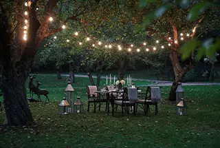 Party Lawn